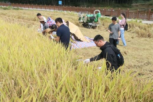 20251114_1 20251114_1